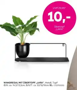 Mömax Wandregal mit übertopf,,lara Angebot