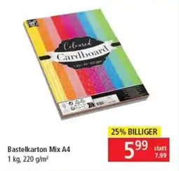 Pagro Diskont Bastelkarton Mix A4 Angebot