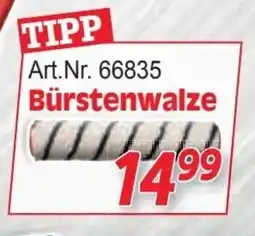 Zgonc Bürstenwalze Angebot