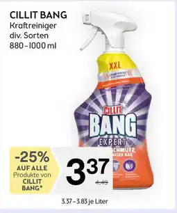 Bipa Kraftreiniger Angebot