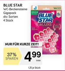 Bipa Wc-beckensteine gigapack Angebot