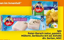 Billa Iglo Angebot