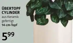Bellaflora Übertopf cylinder Angebot