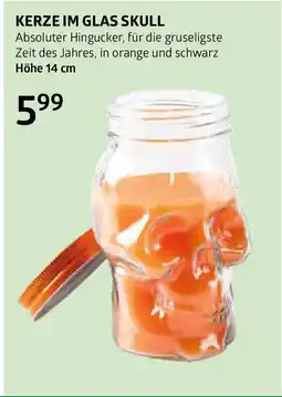 Bellaflora Kerze im glas skull Angebot