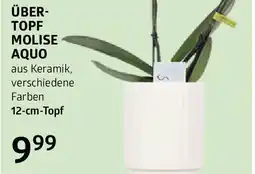 Bellaflora Über- topf molise aquo Angebot