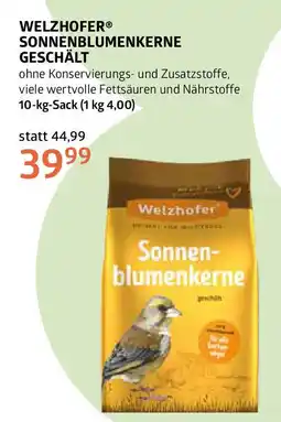 Bellaflora Welzhofer sonnenblumenkerne geschält Angebot