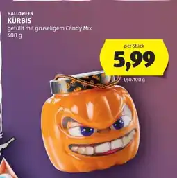 Hofer KÜRBIS Angebot