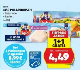 Hofer MSC POLARDORSCH Angebot