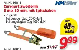 Zgonc Zurrgurt zweiteilig Angebot