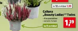 Thomas Philipps Calluna Beauty Ladies Twins Angebot