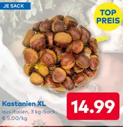 T&G Kastanien XL Angebot