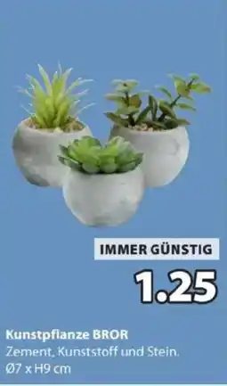 JYSK Kunstpflanze Angebot