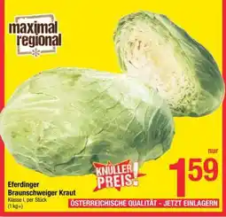 Maximarkt Eferdinger Braunschweiger Kraut Angebot