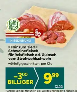 Billa Fair zum Tier! Schweinefleisch für Reisfleisch od. Gulasch vom Strohwohlschwein Angebot