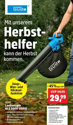 Thomas Philipps Laubsauger Angebot