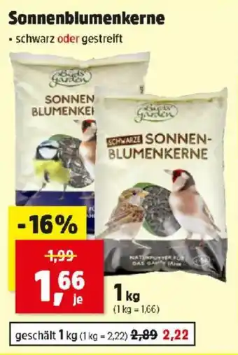 Thomas Philipps Sonnenblumenkerne Angebot