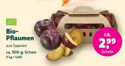 Denn's Biomarkt Bio- Pflaumen Angebot
