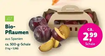 Denn's Biomarkt Bio- Pflaumen Angebot