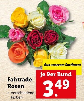 Lidl Fairtrade Rosen Angebot
