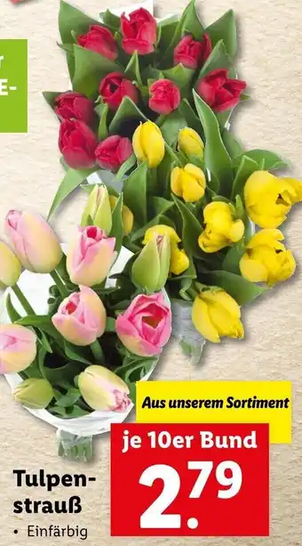 Lidl Tulpen Strauß Angebot