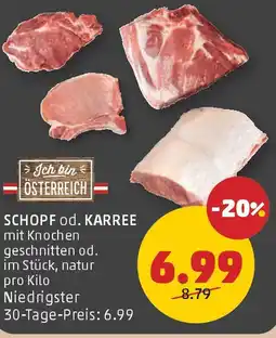 PENNY Schopf od. karree Angebot