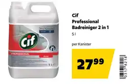 Eurogast Grissemann Cif professional badreiniger 2 in 1 Angebot