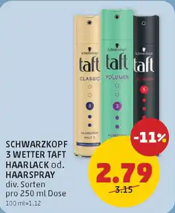 PENNY SCHWARZKOPF 3 WETTER TAFT HAARLACK od. HAARSPRAY Angebot