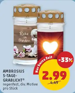 PENNY AMBROSIUS 5 TAGE GRABLICHT Angebot