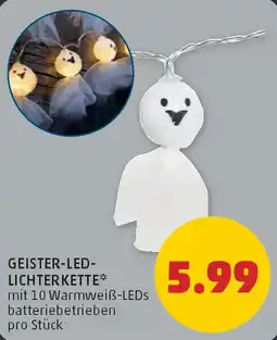 PENNY GEISTER LED LICHTERKETTE Angebot