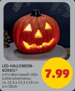 PENNY LED HALLOWEEN KÜRBIS Angebot