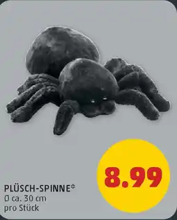 PENNY PLÜSCH SPINNE Angebot