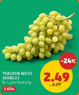 PENNY TRAUBEN WEISS KERNLOS Angebot