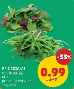 PENNY PFLÜCKSALAT od. RUCOLA Angebot