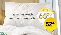 Reiter Polster Vital Angebot