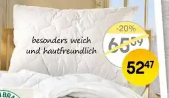 Reiter Polster Vital Angebot