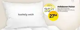 Reiter Halbdaunen Polster Angebot