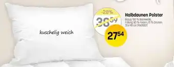 Reiter Halbdaunen Polster Angebot