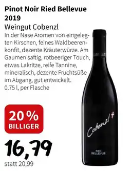 Der Grissemann Pinot Noir Ried Bellevue 2019 Angebot