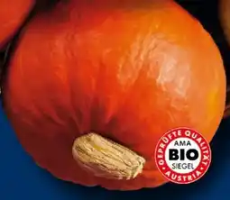 Lidl Bio Speisekürbis Hokkaido Angebot