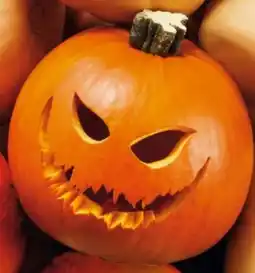 Lidl Kürbis Halloween Angebot