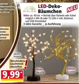 Norma LED-Deko- Bäumchen Angebot