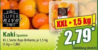 Norma Kaki Angebot