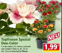 Norma Topfrosen spezial duo-color Angebot