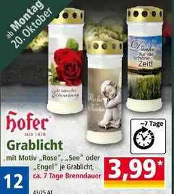 Norma Hofer grablicht Angebot