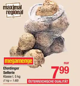 Maximarkt Eferdinger sellerie Angebot