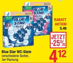 Maximarkt Blue Star WC-Stein Angebot