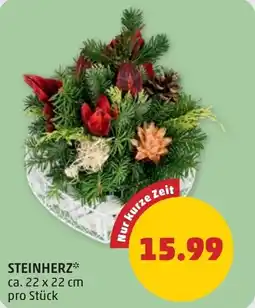 PENNY Steinherz Angebot