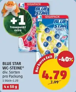 PENNY Blue star wc-steine Angebot