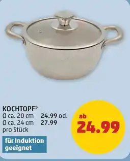 PENNY Kochtopf Angebot