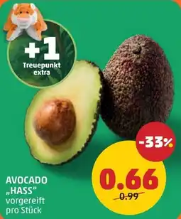 PENNY Avocado hass Angebot